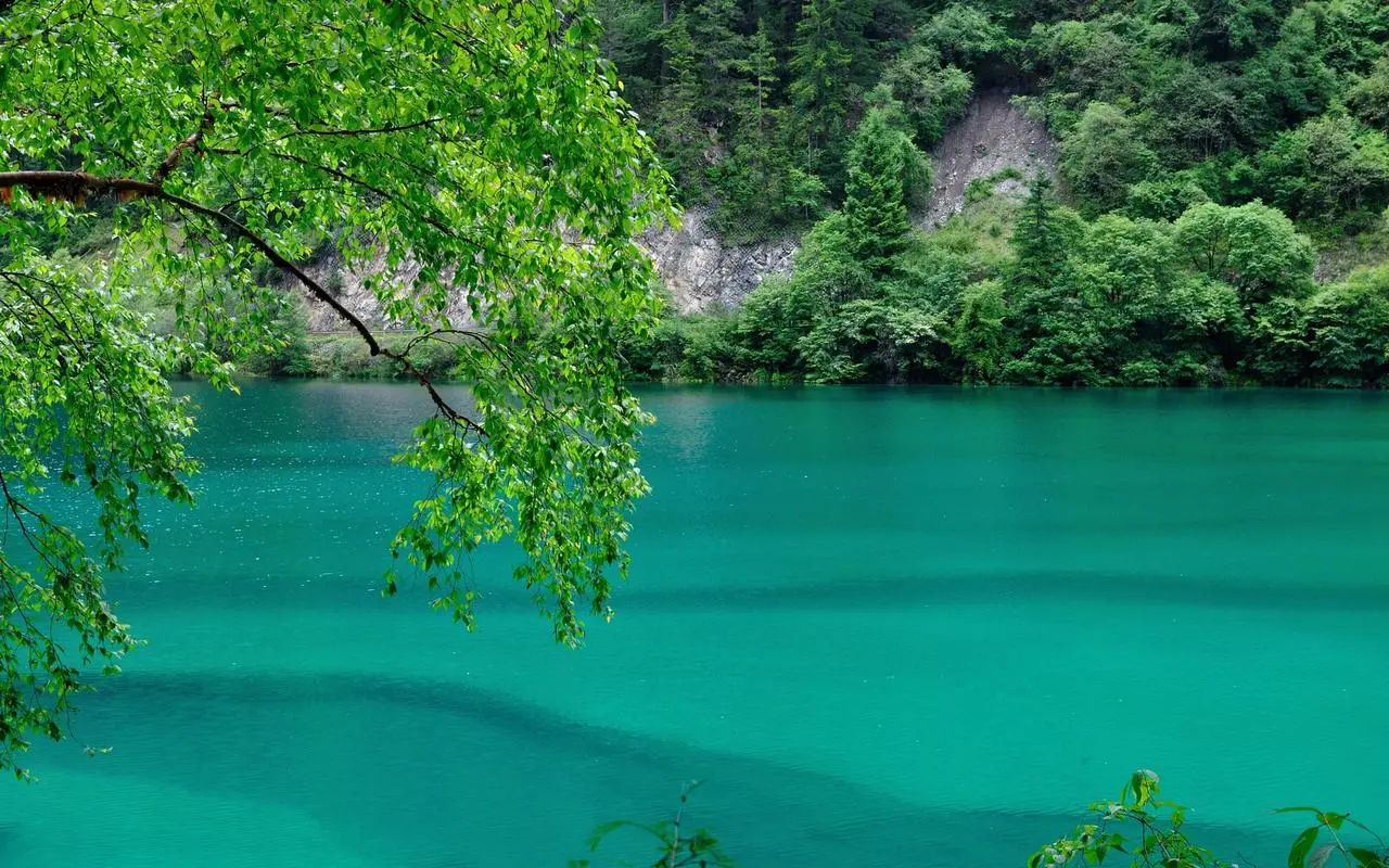 高性能高精度
